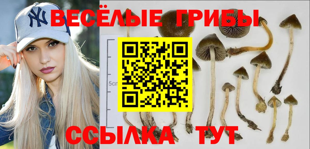 Псилоцибиновые грибы Magic Shrooms  Вход с VPN  Гудермес 