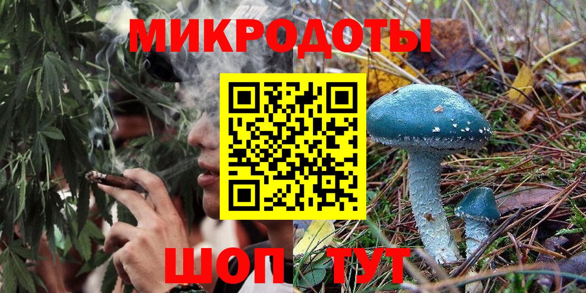 Галлюциногенные грибы Psilocybine cubensis Гудермес
