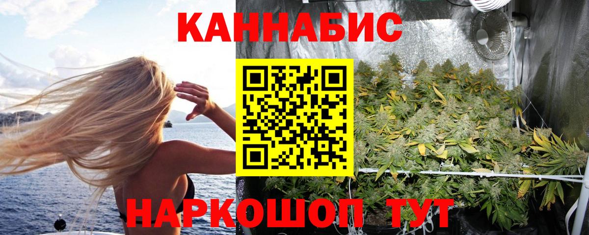 Конопля марихуана Гудермес